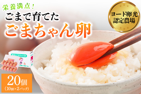 ゴマで育てた「ごまちゃん卵」20個 [0712]