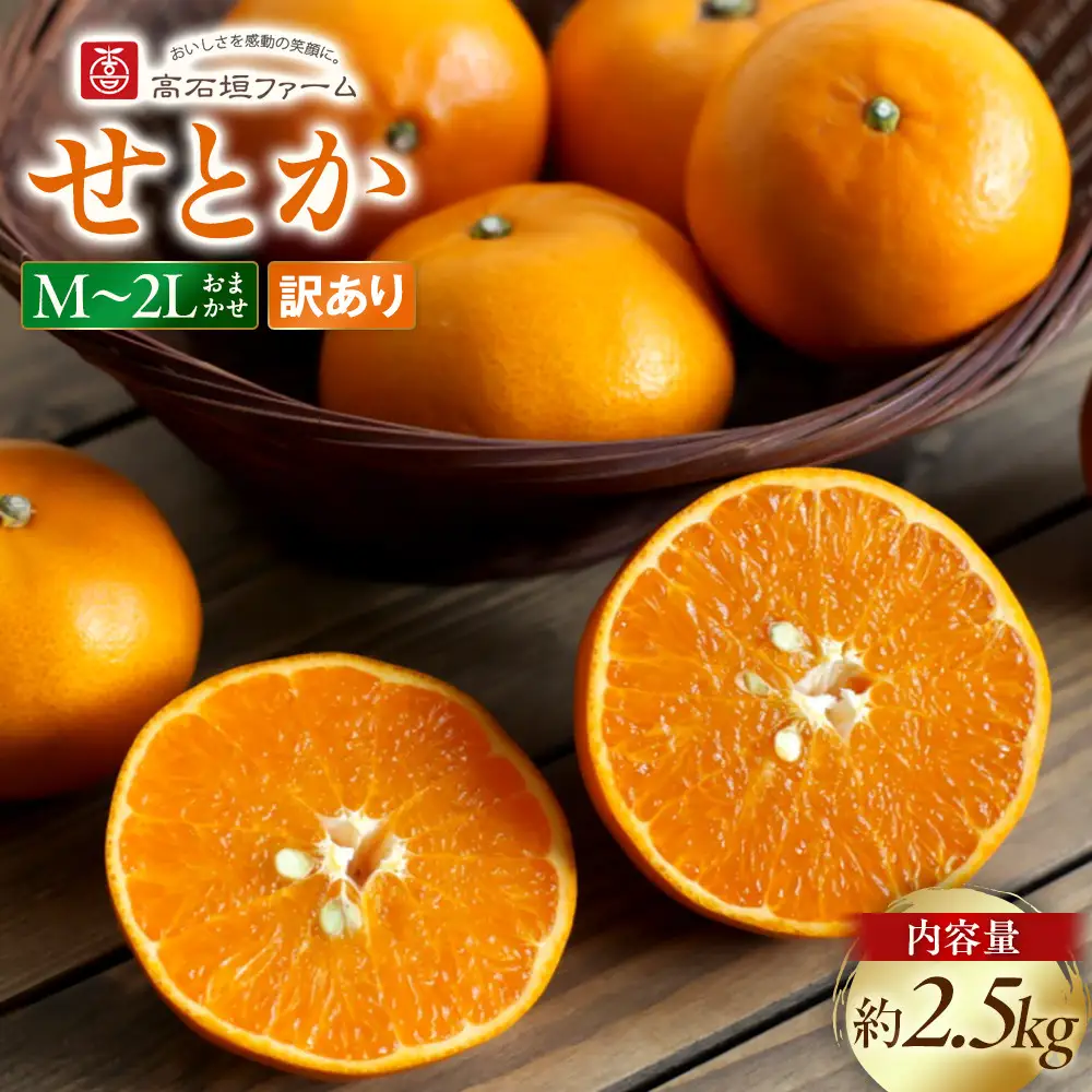 訳あり せとか 2.5kg M～2Lサイズおまかせ 高石垣ファーム