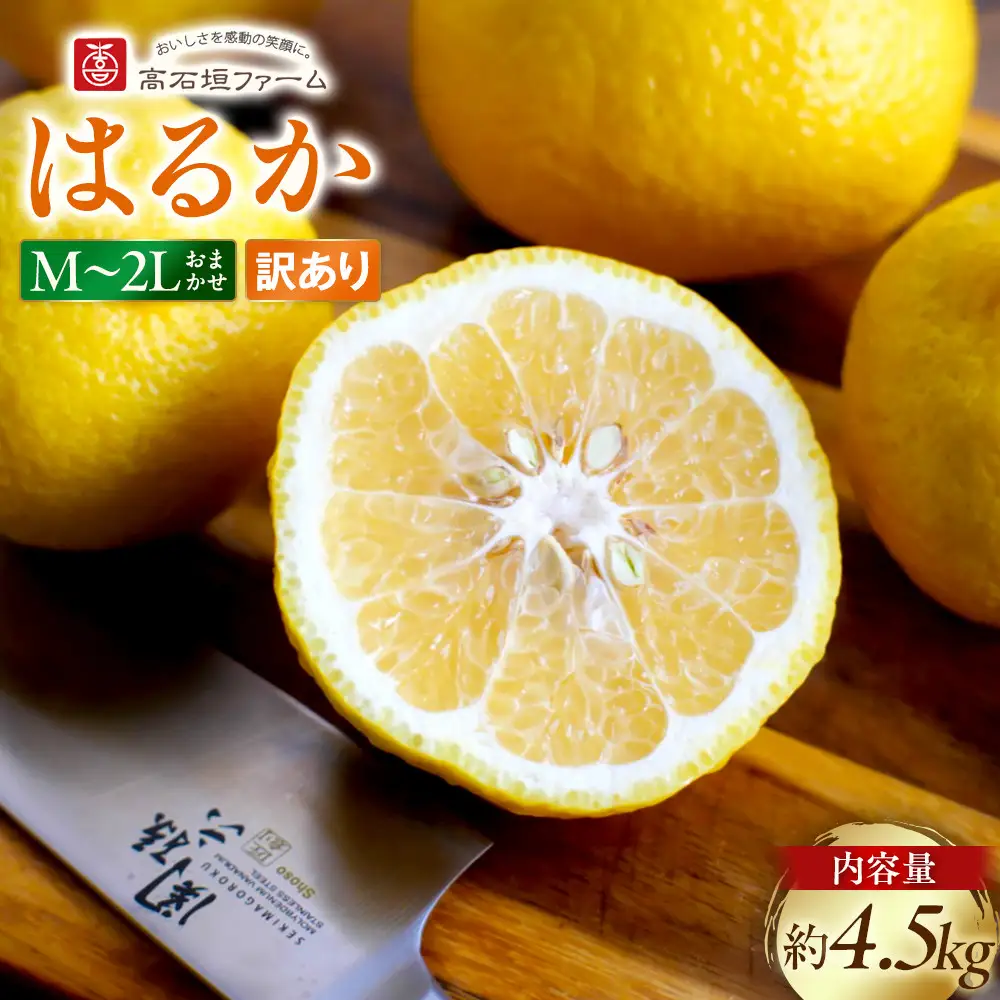訳あり はるか 4.5kg M～2Lサイズおまかせ 高石垣ファーム