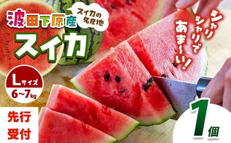 【先行受付】Heart-Landﾉﾑﾗ 波田下原産スイカ　Lサイズ　1個（6～７ｋｇ）