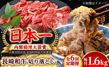 【全6回定期便】長崎和牛 切り落とし 総計9.6kg （約1.6kg/回）【ながさき西海農業協同組合】 [DBV036][DBV036]