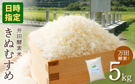 【令和7年産・皇室献上米生産農家産】井田酵素米 きぬむすめ 5kg