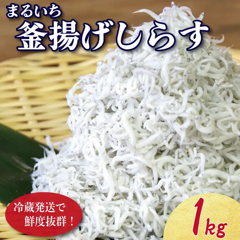 しらす 釜揚げ 1kg 250g ×4袋 5月から12月中旬まで発送 