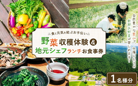 ＼食と元気を結ぶお手伝い／農村レストラン 飛火鞍 収穫体験＆地元シェフによるランチのお食事チケット 1名様分 〔C-93〕 | 野菜 やさい 収穫体験 ランチ 発酵食 体験 お食事券 農業体験 那須町 栃木県