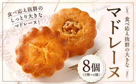 大きい！マドレーヌ （プレーン・くるみ） 8個 お菓子 菓子 デザート スイーツ マドレーヌ ビッグ BIG プレーン くるみ