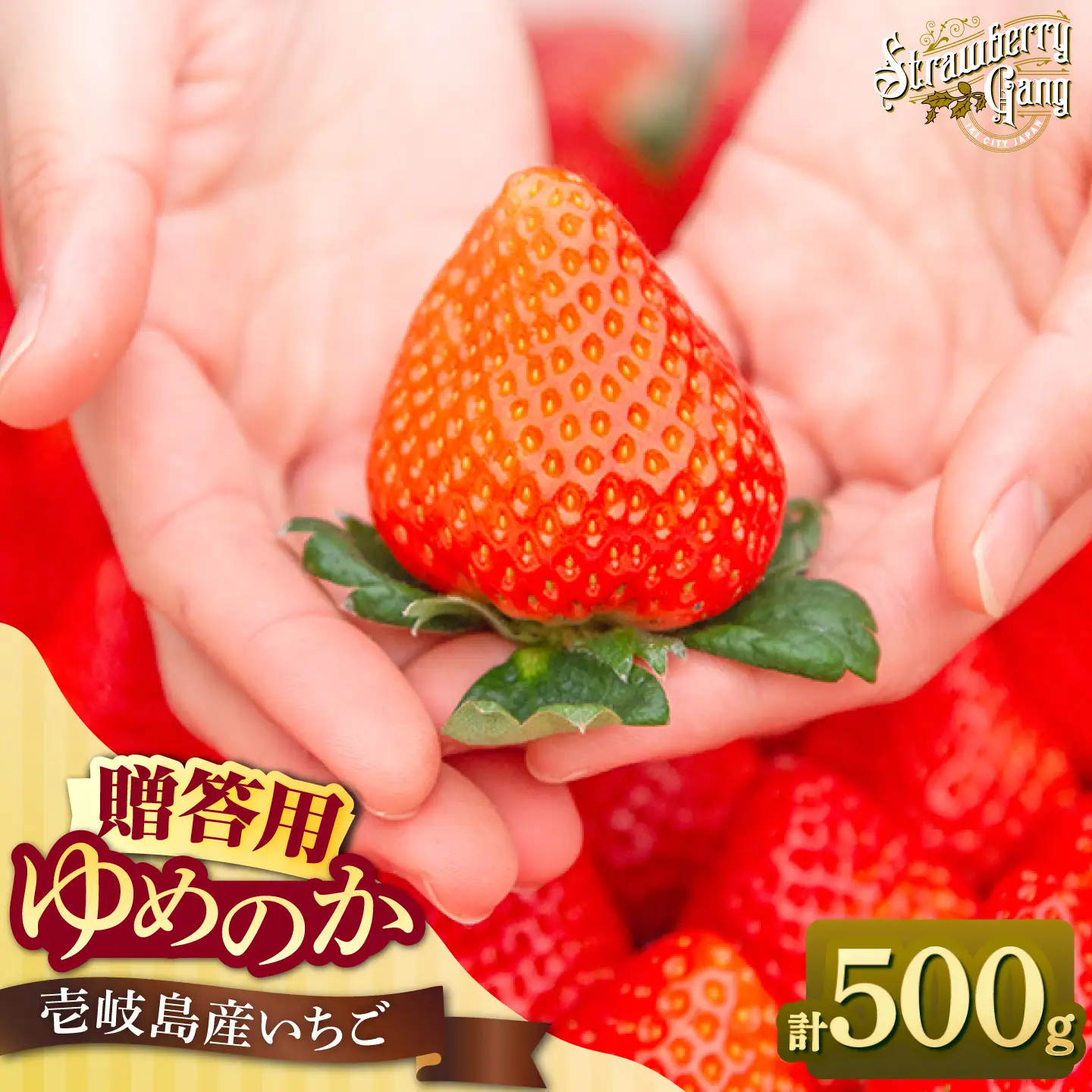 【先行予約】ゆめのか 250g × 2パック【2027年1月以降順次発送】 [JEM005] いちご 苺