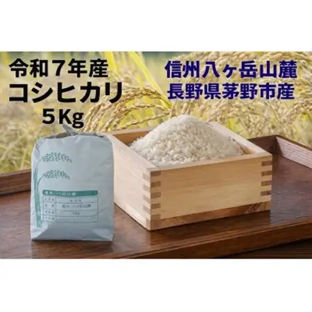 【令和7年産】信州八ヶ岳山麗 長野県産コシヒカリ 精米5kg(5kg×1袋)【1719506】