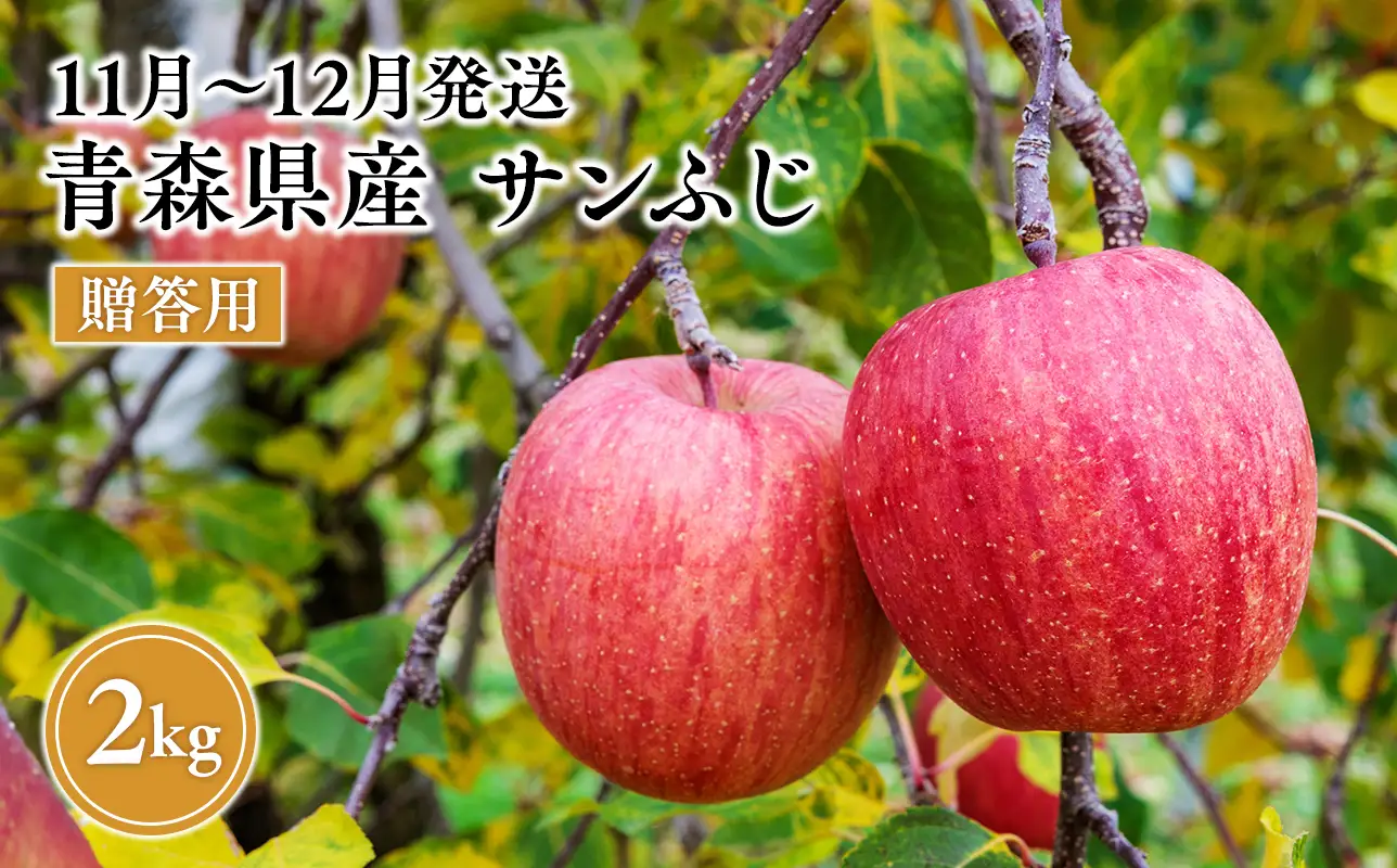 2026年11月～12月発送　贈答用サンふじ 約2kg【原田農園】 ［hi-0068-008］ 
