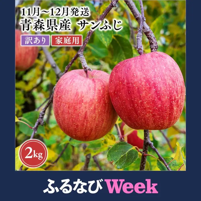 【ふるなびWEEK対象】2026年11月～12月発送　【訳あり】家庭用サンふじ 約2kg［hi-0068-011］