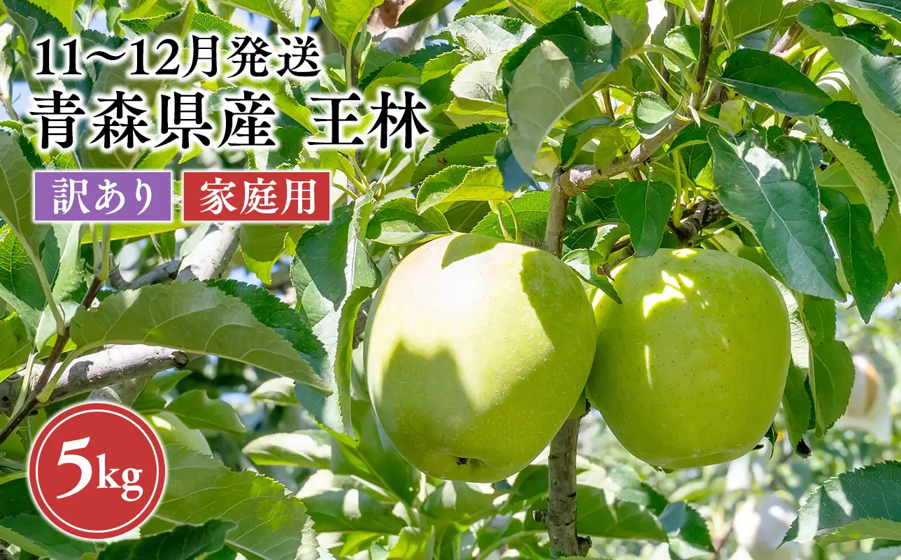 2026年11月～12月発送　【訳あり】家庭用王林 約5kg【原田農園】 家庭用 青森 青森県産 平川 りんご リンゴ 林檎 くだもの 果物 フルーツ［hi-0036-003］［hi-0068-025］ 