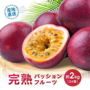 パッションフルーツ (2kg24個入りバラ詰) 2026年6月～出荷開始 | パッションフルーツ