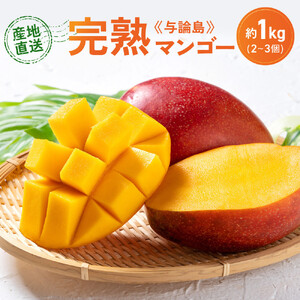 「2026夏発送」★厳選★ 完熟 与論島マンゴー １kg（2～3個）【数量限定】【産地直送】【先行予約】