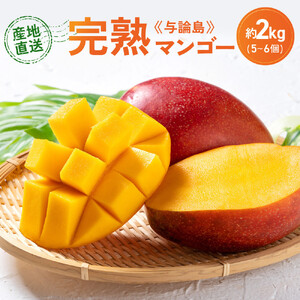「2026夏発送」★厳選★ 完熟 与論島マンゴー ２kg（5～6個）【数量限定】【産地直送】【先行予約】