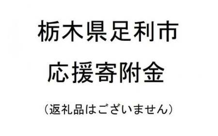 【返礼品なし】栃木県足利市応援寄附金 10,000円  F7Z-B010