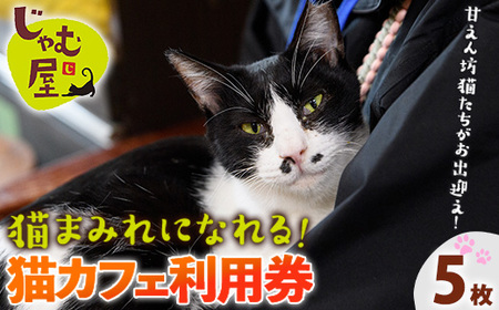 猫まみれになれる猫カフェチケット(5枚) チケット 猫 カフェ 体験 ネコ ねこ 保護猫 動物 カフェ利用チケット 保護猫カフェ 利用券 利用優待券 触れ合い ふれあい 体験型 動物カフェ 癒し 写真撮影 猫好き 【じゃむ屋】as15-007