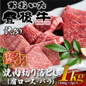 訳あり！おおいた豊後牛焼肉切り落とし 1kg (500g×2p)