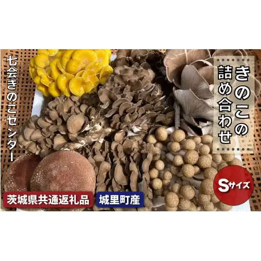 きのこ詰め合わせ　Sサイズ（茨城県共通返礼品／城里町産） / 茨城県 利根町 きのこ キノコ 舞茸 椎茸 あわび茸 たもぎ茸 はなびら茸
