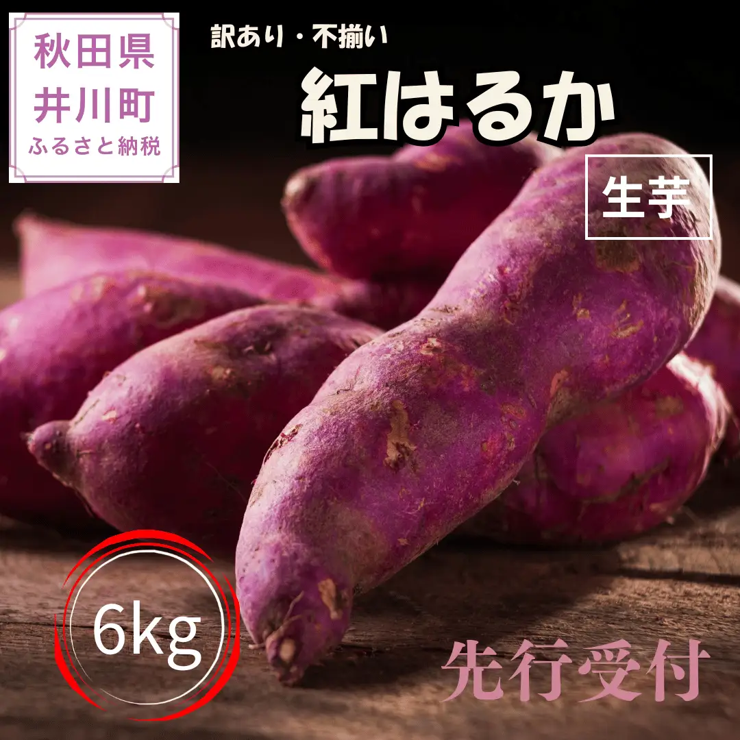 【先行受付】秋田県井川町産　訳あり　紅はるか（生芋）6kg
