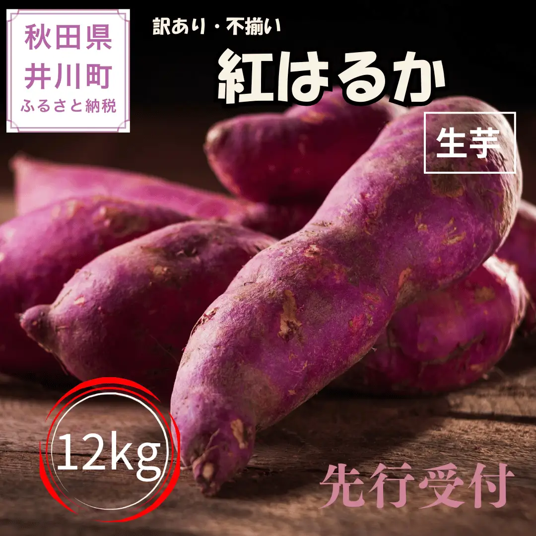 【先行受付】秋田県井川町産　訳あり　紅はるか（生芋）12kg
