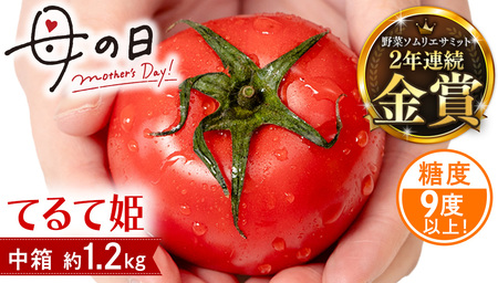 【母の日専用】 スーパーフルーツトマト てるて姫 中箱 約1.2kg ×1箱 糖度9度以上 《5月4日～10日お届け メッセージカード付》 [BC095sa]