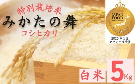 P16　白米 5Kg コシヒカリ「 みかたの舞 」 特別栽培米 【 こしひかり コシヒカリ 特別栽培米 お米 米 白米 精米 ブランド米 5キロ 兵庫県産 兵庫県 ジャパンフードセレクション 最高賞 グランプリ 】