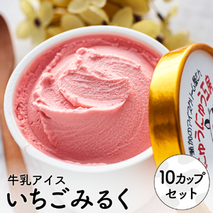 【累計1.8万個突破！】アイスクリーム詰め合わせ【イチゴミルク（10個）】012AE03N.／アイス スイーツ デザート 牛乳アイス ミルク にゅうにゅう工房 冷凍 セット 冷菓