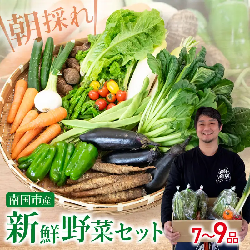 【野菜】新鮮野菜セット ( 7～9品 )