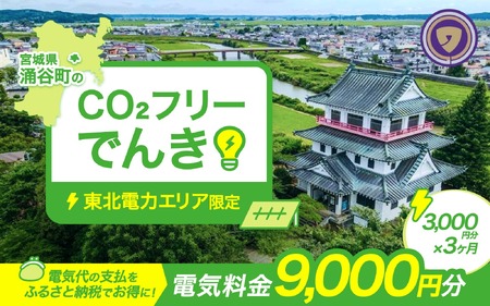 涌谷町CO2フリーでんき 3,000円×3ヶ月コース【※※お申込み前に申込条件を必ずご確認ください】  東北電力 電気 電力 東北 電気代 電気料金 青森県 岩手県 宮城県 秋田県 山形県 福島県 新潟県 でんき【ens001】