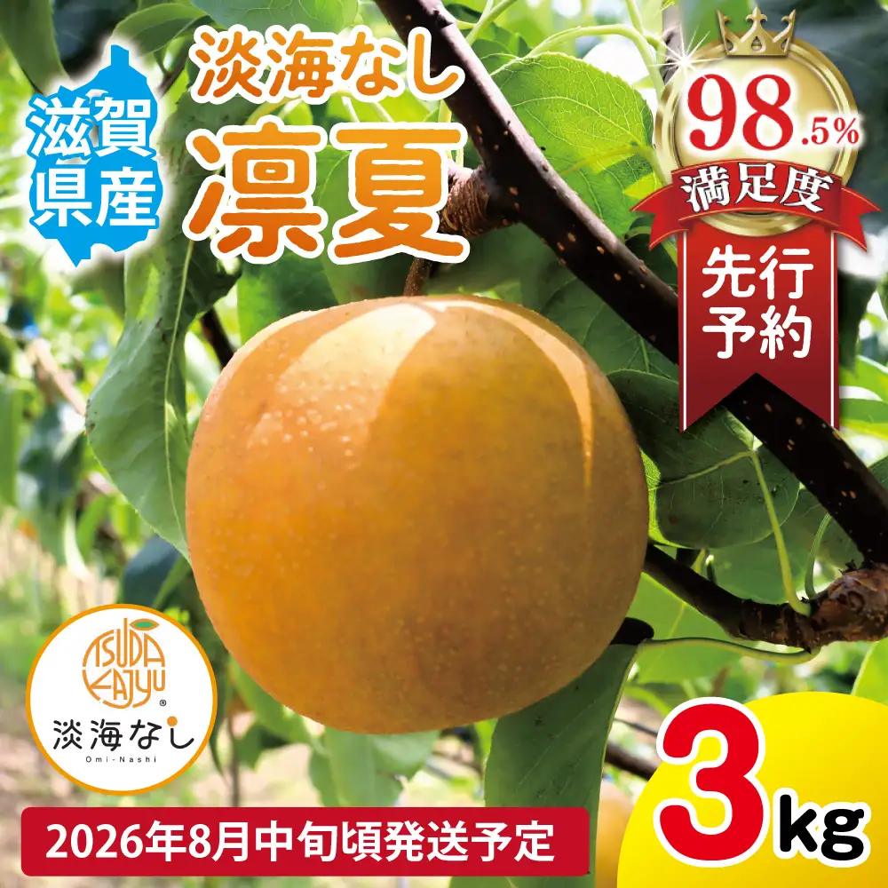 【先行予約】【数量限定】淡海なし　凛夏　3kg箱入り（サイズ：2L～7L　5～10個入り）【K128W】 スイーツ 果物