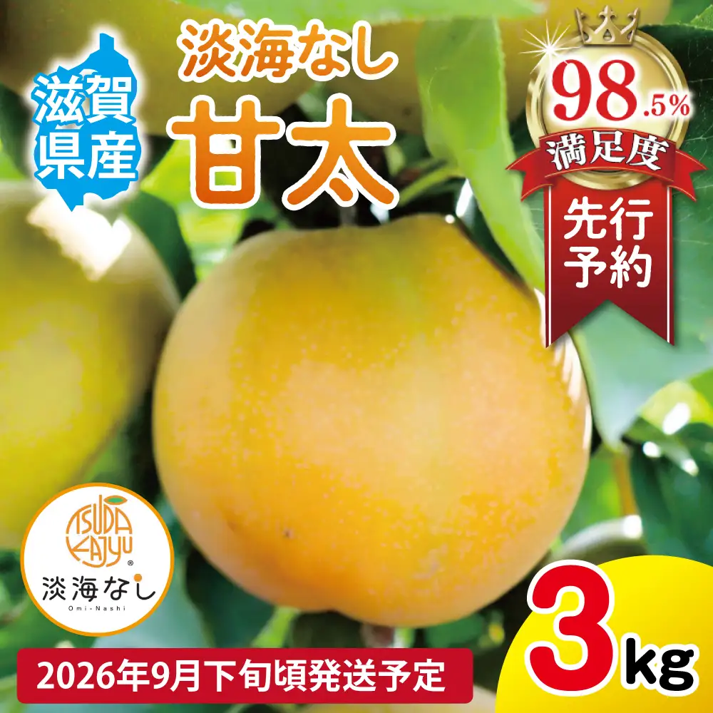 【先行予約】【数量限定】淡海なし　甘太　3kg箱入り（サイズ：2L～7L　5～10個入り）【K131W】スイーツ 果物