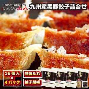 これぞ餃子!!　九州産黒豚餃子詰合せ　(福津の極み認定商品)＆自家製柚子胡椒[H3211]