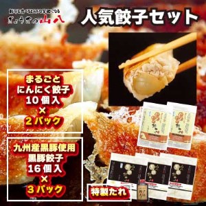 大好評！山八の人気餃子セット[H3215]