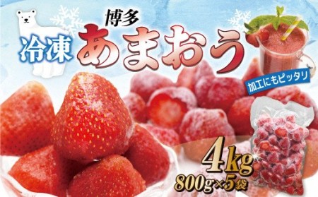 冷凍「博多あまおう」800g×5袋　計4kg[H4004]