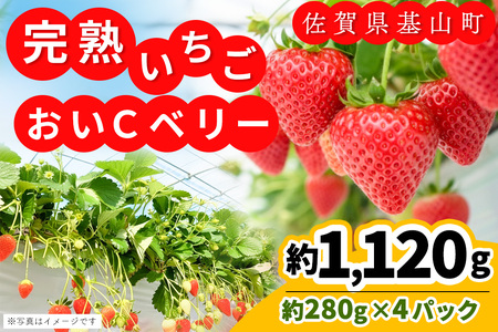 【ふるなび限定】【農場直送いちご】おいCベリー(約280g×4P)K100038 FN-Limited-PR