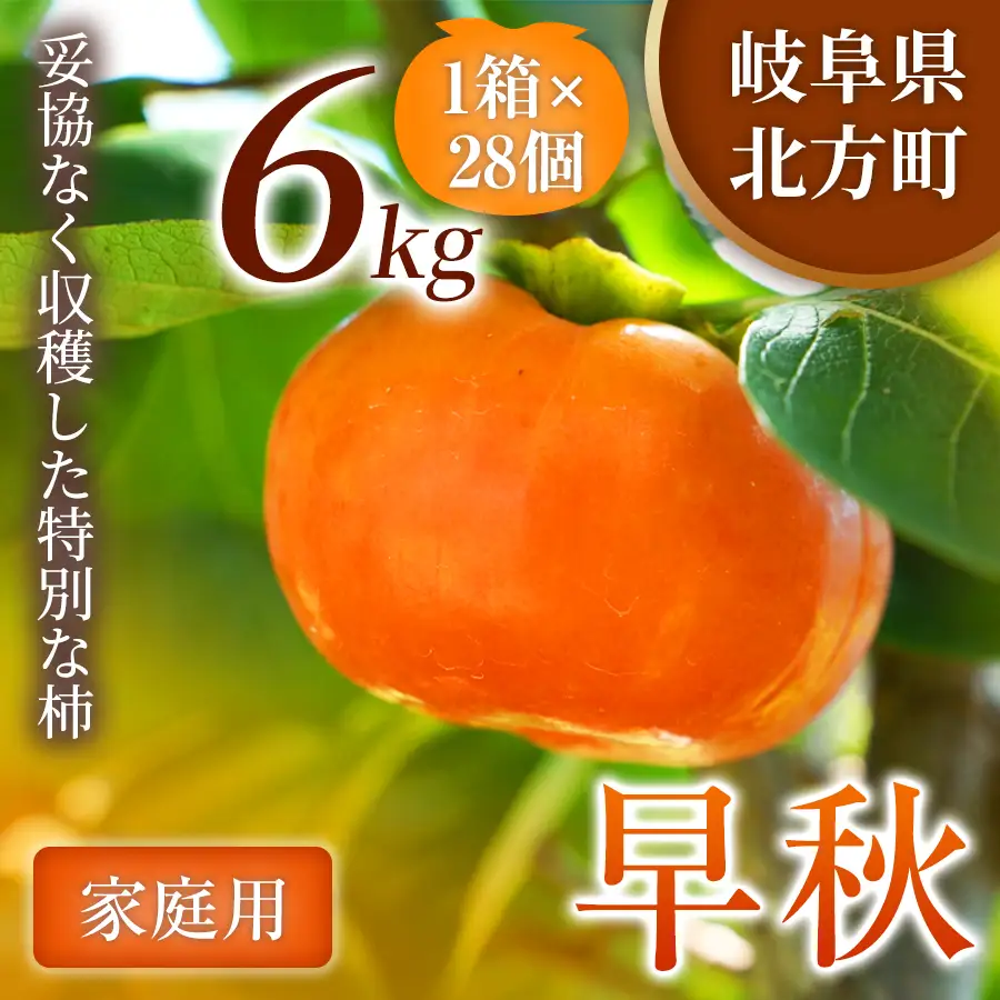 【訳あり品】 早秋 柿 28個／6kg ( 1箱 ) 先行予約 令和8年10月中旬順次発送 | さのっち農園