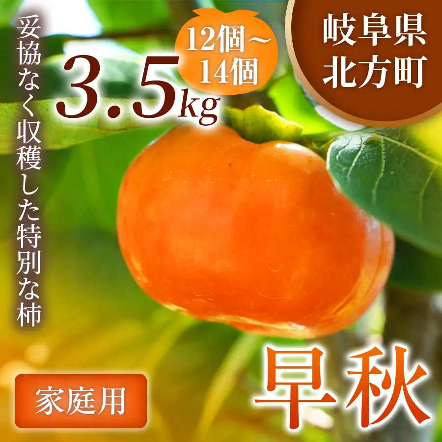【訳あり品】 早秋 柿 12～14個／3.5kg ( 1箱 ) 先行予約 令和8年10月中旬順次発送 | さのっち農園