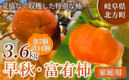 【全2回 定期便】旬柿 リレー便 家庭用 早秋 富有柿 ( 各7個 / 1.8kg )| さのっち農園