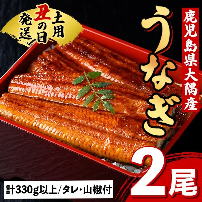 【A57005】土用の丑の日 うなぎ 蒲焼 有頭 (2尾 計370g以上 タレ・山椒付) 鹿児島 国産 大隅産 鰻 蒲焼き【一般社団法人きもつき宇宙協議会】