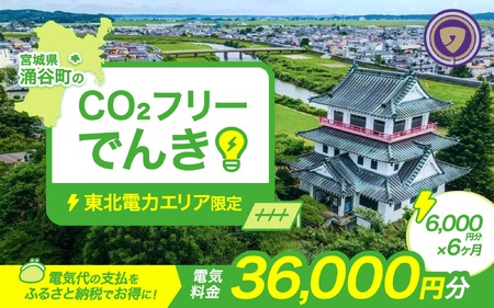 涌谷町CO2フリーでんき 6,000円×6ヶ月コース【※※お申込み前に申込条件を必ずご確認ください】 東北電力 電気 電力 東北 電気代 電気料金 青森県 岩手県 宮城県 秋田県 山形県 福島県 新潟県 でんき【ens003】