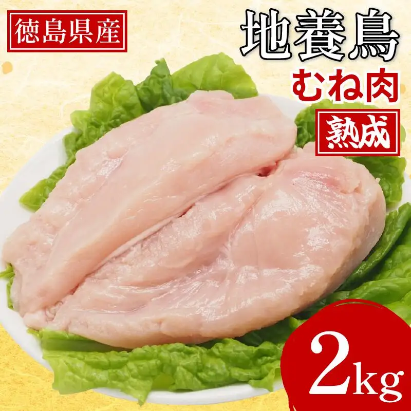熟成地養鳥 むね肉 2kg 冷蔵 地鶏 鶏むね肉 国産 【 鶏肉 】