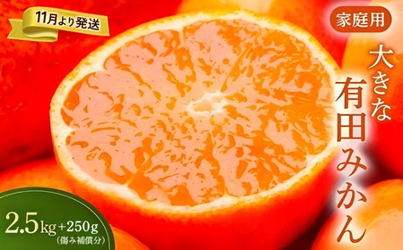 家庭用 大きな有田みかん2.5kg+250g（傷み補償分）【わけあり・訳あり】【光センサー選果】