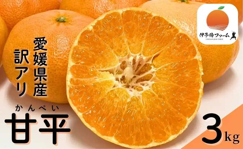 【2027年先行予約】みかん 甘平 3kg ご家庭用 バラ詰め 愛媛 【2027年2月から順次発送予定】 数量限定 柑橘 フルーツ 国産 伊予侍ファーム 伊予市｜B458