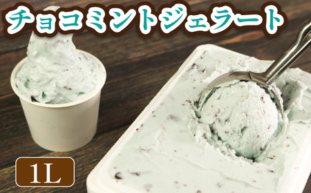 ジェラート イタリアンジェラート チョコミント 1000ml