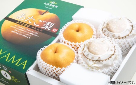 あたご梨 4～9玉 合計約4kg 化粧箱 ／ 愛宕梨 梨 なし ナシ 果物  【2026年11月下旬～12月下旬発送予定】