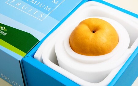 備前横綱梨 （あたご梨） 超大玉 1玉 約1kg～1.4kg 贈答箱 ／ 愛宕梨 梨 なし ナシ 果物  【2026年11月下旬～12月下旬発送予定】