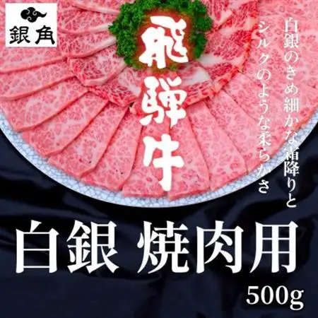 【毎月定期便】【飛騨牛】白銀焼肉用500g全6回【配送不可地域：離島】【4083289】