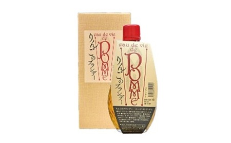 りんごのブランデー 500ml カートン入り ワイナリー ブランデー 贈り物 ギフト ふくしま 逢瀬ワイナリー 東北 福島県 郡山市