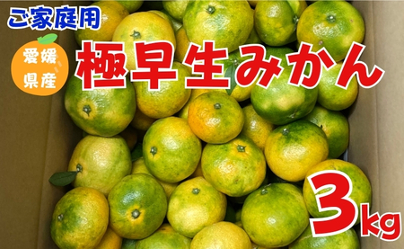 【2026年先行予約】 極早生みかん 3kg ご家庭用 農園直送 【10月上旬から順次発送予定】 愛媛 数量限定 愛媛県産 人気 柑橘 伊予市｜A98