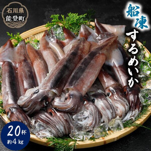 【復興支援】船凍するめいか 約4kg 20杯 ( 2杯 × 10袋 )小分け 個包装 刺し身 海産物 魚介類 獲れたて 急速冷凍 新鮮 刺身 さしみ 烏賊 人気 おすすめ ご当地グルメ カルパッチョ パスタ いかめし 煮物
