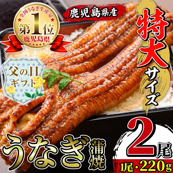 i1078-A-f 【父の日ギフト】＼特大サイズ／鹿児島県産 うなぎ蒲焼 2尾（約220g×2・計約440g） たれ 山椒付きうなぎ 鰻 ウナギ 特大 特大サイズ 約220g 蒲焼き 国産 鹿児島県産 焼きたて 生産量日本一 真空パック おかず 晩御飯 特別な日 贈答 ギフト プレゼント 父の日 【薩摩川内鰻】